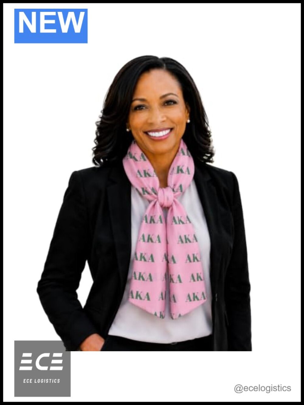 AKA Sorority Chiffon Scarf Necktie 48in x 8in Lightweight Gift-Ready